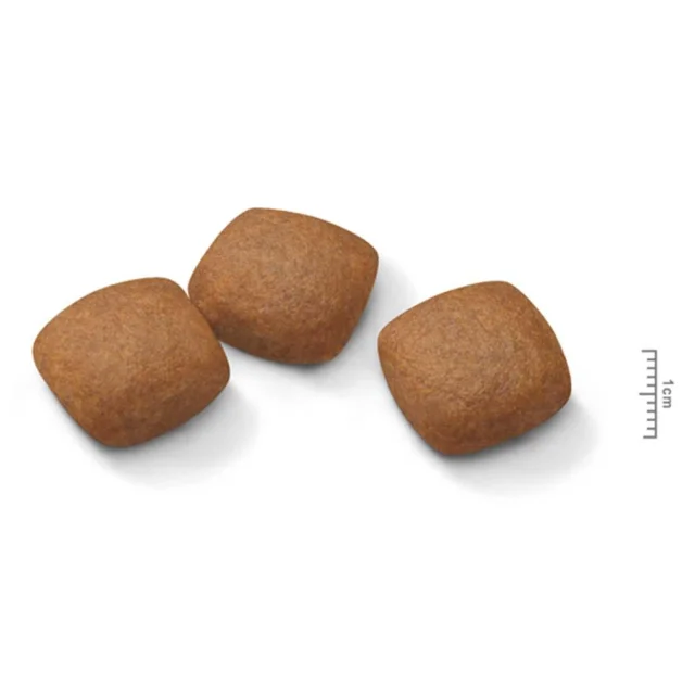 Сухой корм Royal Canin Maxi Joint Care для собак крупных пород с повышенной чувствительностью суставов, 10 кг