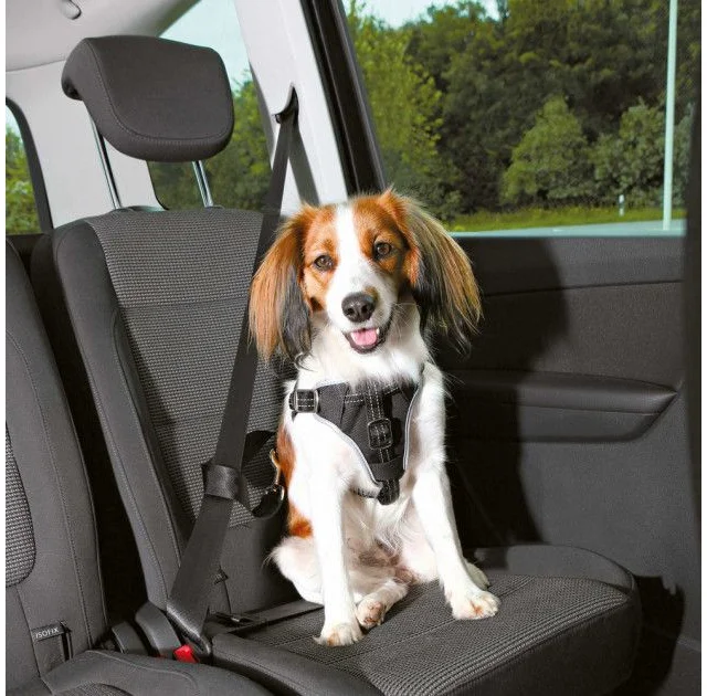 Шлея защитная Trixie Dog Protect XL для собак, в авто, 80 - 100 см х 23 мм, нейлон, черный