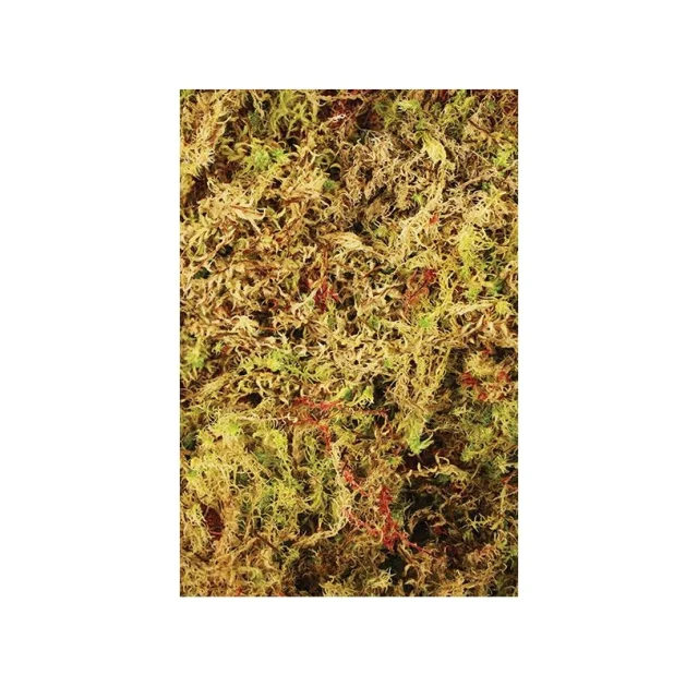 Живий мох Komodo Habitat Moss, 1,5 л