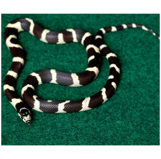 Килимок-субстрат Komodo Reptile Carpet, 120x60 см