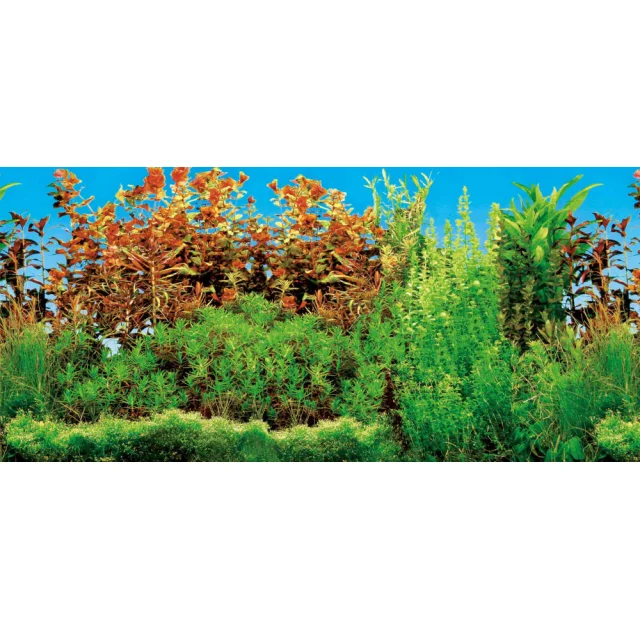 Фон для аквариума Trixie двусторонний, 60x30 см