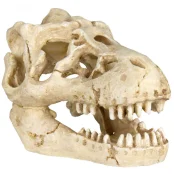 Набор гротов для рыбок Trixie - Черепа животных, 8х11 см Набор гротов для рыбок Trixie - Черепа животных, 8х11 см