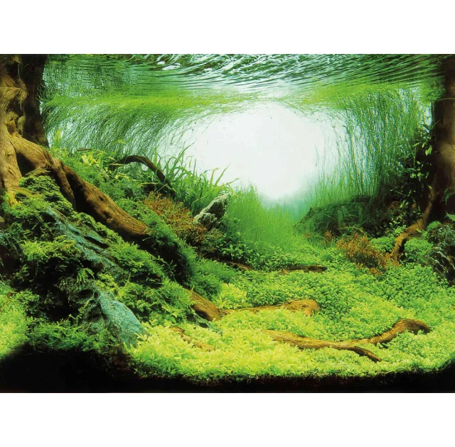 Фон для аквариума Trixie двусторонний, 60x30 см