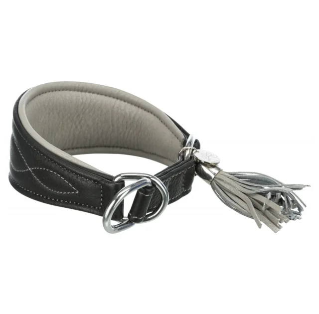 Ошейник Trixie Active Comfort XS, для собак, 21-26 см, 40 мм, черный/серый