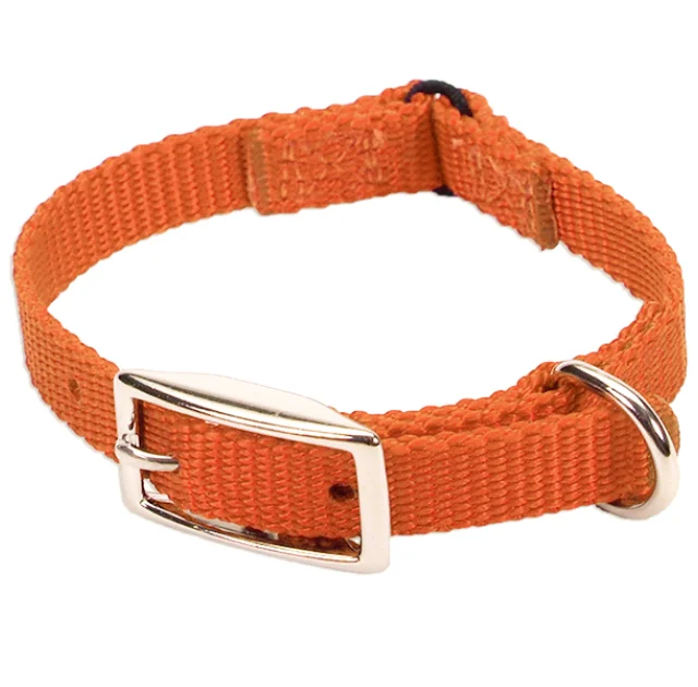 Безопасный ошейник Coastal Nylon Web для кошек, апельсиновый, 1×20 см
