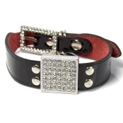 Нашийник Shiboo Jet Black для собак, чорний, 2.5 × 40 см