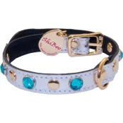 Нашийник Shiboo Basic-10-G для собак, аква, 20 см