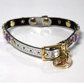 Нашийник Shiboo Treasure-10-M для собак, бірюзовий, 25 см