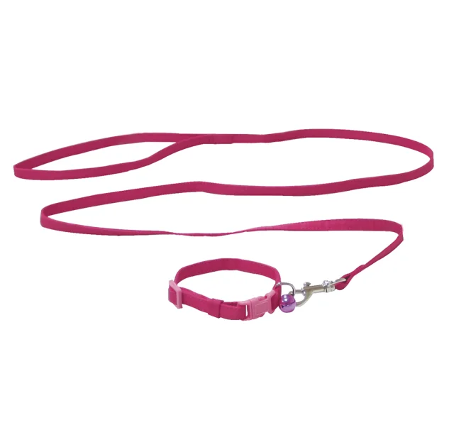 Ошейник+поводок Croci Mini для собак мелких пород, нейлон, розовый, 16-24×0.8 см/0.8×120 см