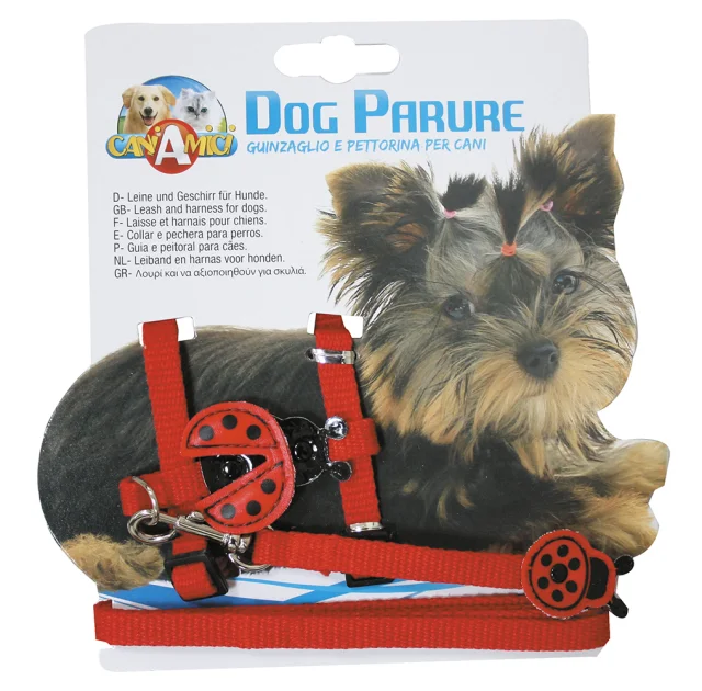 Шлея+поводок Croci Ladybird для собак, нейлон, красный, 19-31×0.8 см/0.8×120 см