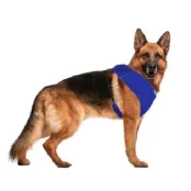 Охолоджуюча шлея Harness Fresh для собак, синій, розмір М, 60-30 см