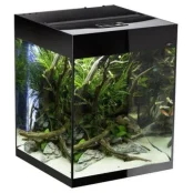Аквариум AQUA EL GLOSSY CUBE, 50×50×63 см, 135 л Аквариум AQUA EL GLOSSY CUBE, 50×50×63 см, 135 л