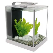 Акваріумний комплект Hagen Fluval Spec, 10 л Акваріумний комплект Hagen Fluval Spec, 10 л