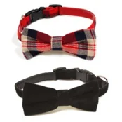 Нашийник Croci Fiocco, для собак, екошкіра, метелик, кольора в асортименті, 23-33×1.5 см