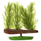 Декорація Hagen WILLOW MOSS, рослина пластикове, 11 см Декорація Hagen WILLOW MOSS, рослина пластикове, 11 см