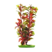 Декорація Hagen Red Ludwigia, 20 см Декорація Hagen Red Ludwigia, 20 см