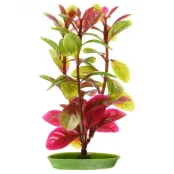 Декорація Hagen Red Ludwigia, 13 см Декорація Hagen Red Ludwigia, 13 см