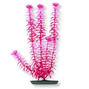 Декорація Hagen Anacharis Pink-Red, рослина пластикове, 20 см Декорація Hagen Anacharis Pink-Red, рослина пластикове, 20 см