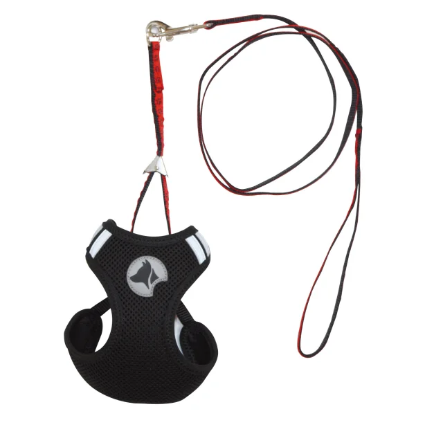 Набор Croci Hiking Parure для собак, шлея+поводок, нейлон, размер L, черный, 26-30/41-47 см