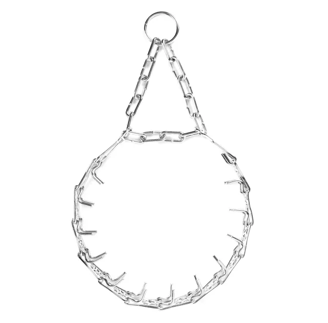 Строгий ошийник Collar для собак, нержавіюча сталь, 40 мм, 60 см