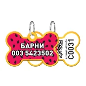 Адресник персональний WAUDOG Smart ID з QR-паспортом, малюнок "Кавун", 38 × 25 мм, золото