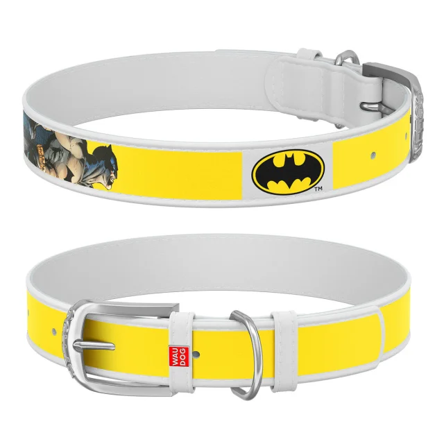 Ошейник WAUDOG Design с QR паспортом, рисунок "Бэтмен2" ширина 25 мм, длина 37-48 см, белый