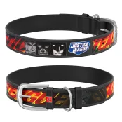 Ошейник WAUDOG Design с QR паспортом, рисунок "Лига Справедливости" ширина 12 мм, длина 20-28 см, черный