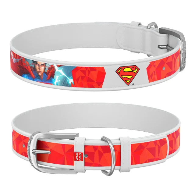 Нашийник WAUDOG Design з QR паспортом, малюнок "Супермен1" ширина 15 мм, довжина 26-35 см, білий