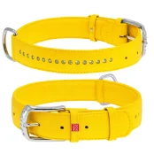Ошейник WAUDOG GLAMOUR, со стразами, ширина 25 мм, длина 38-49 см, желтый