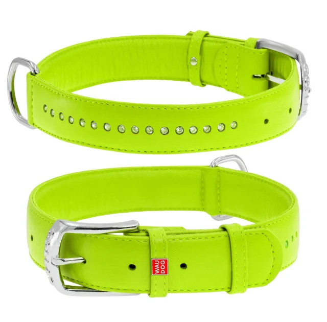 Ошейник WAUDOG GLAMOUR, со стразами, ширина 20 мм, длина 30-39 см, салатовый