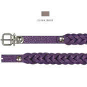 Нашийник Cristel "Колосок" для собак зі шкіри, 12 мм / 33 см, бежевий