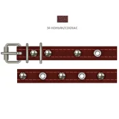 Ошейник Cristel для собак, из кожи зенит, прошитый, с украшением "микс", 14 мм / 27-35 см, коньяк