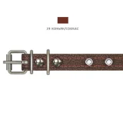 Нашийник Cristel для собак, зі шкіри зеніт, з прикрасами, 16 мм / 32-40 см, коньяк