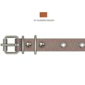 Нашийник Cristel для собак, зі шкіри, прошитий, з прикрасою, 18 мм / 36-44 см, рудий