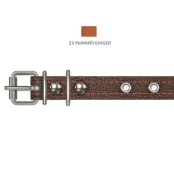 Ошейник Cristel для собак, из кожи, с украшениями, 16 мм / 32-40 см, рыжий