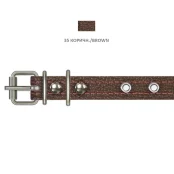 Нашийник Cristel для собак, з лакованої шкіри зеніт, з прикрасами, 16 мм / 32-40 см, коричневий