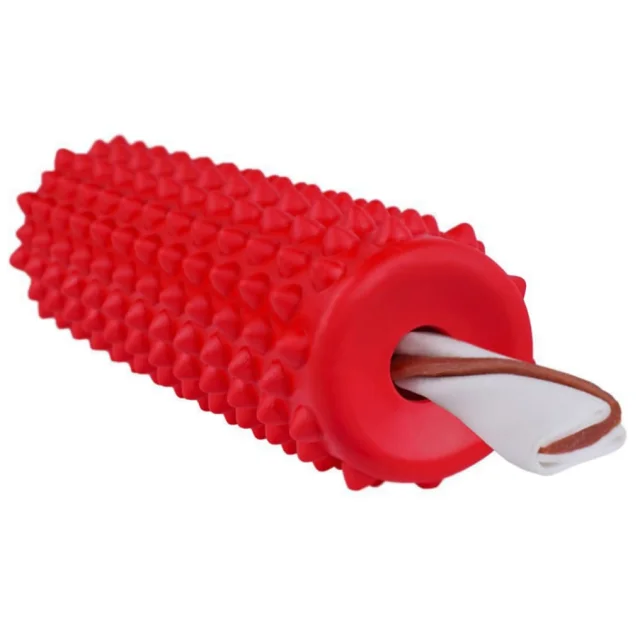 Игрушка-массажер для собак BronzeDog Stick Brush, плавающая, 5×17 см
