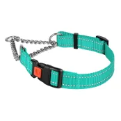Нашийник-полуудавка BronzeDog, для собак, нейлоновий, фастекс, світловідбиваючий, бірюзовий, 41-55×2.5 см
