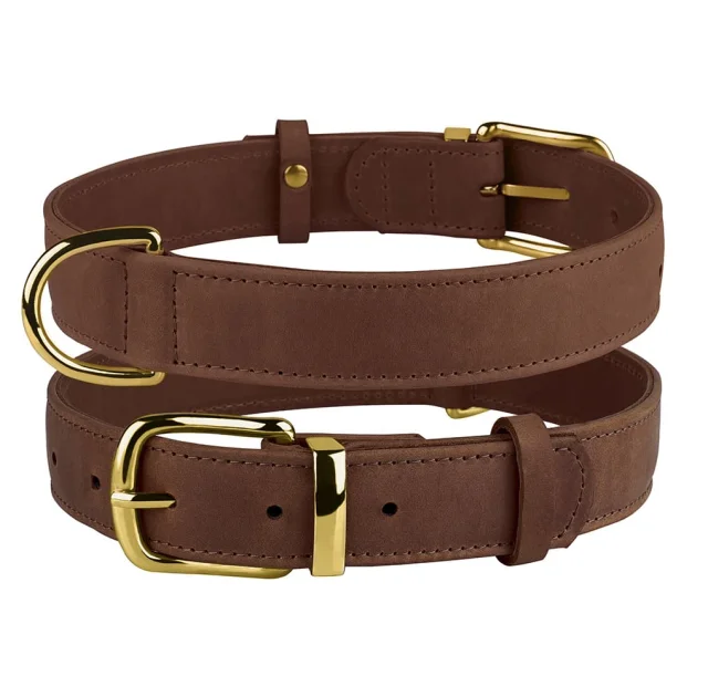 Нашийник BronzeDog Crazy, для собак, шкіряний, коньяк, 30-39×2 см
