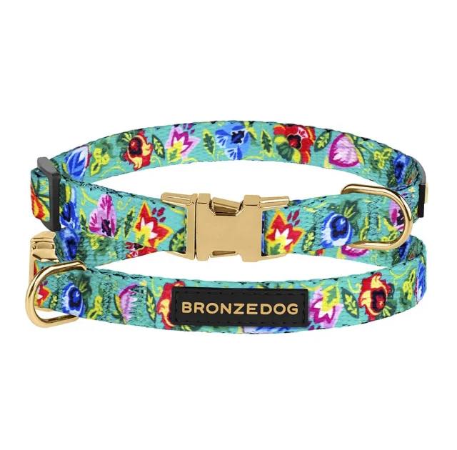 Ошейник BronzeDog Urban Folk, для собак и кошек, нейлоновый, фастекс металлический, ментоловый, 18-28×1 см