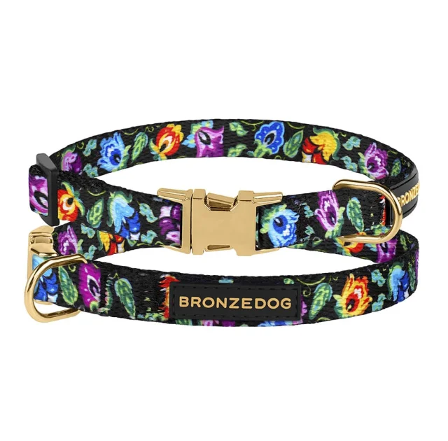 Ошейник BronzeDog Urban Folk, для собак и кошек, нейлоновый, фастекс металлический, чёрный, 18-28×1 см