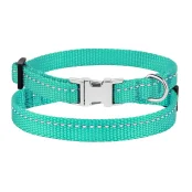 Нашийник BronzeDog Active, для собак і котів, нейлоновий, фастекс хром, бірюзовий, 18-28×1 см