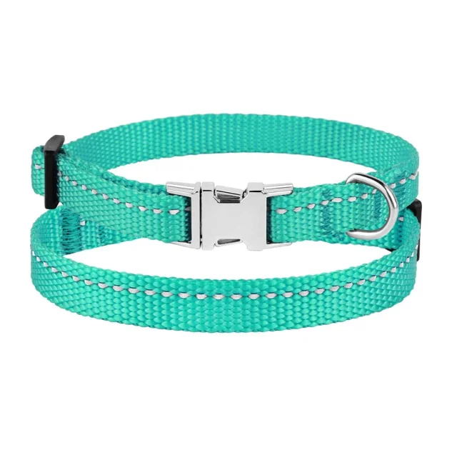 Ошейник BronzeDog Active, для собак и кошек, нейлоновый, фастекс хром, бирюзовый, 18-28×1 см