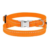 Нашийник BronzeDog Active, для собак і котів, нейлоновий, фастекс хром, помаранчевий, 18-28×1 см