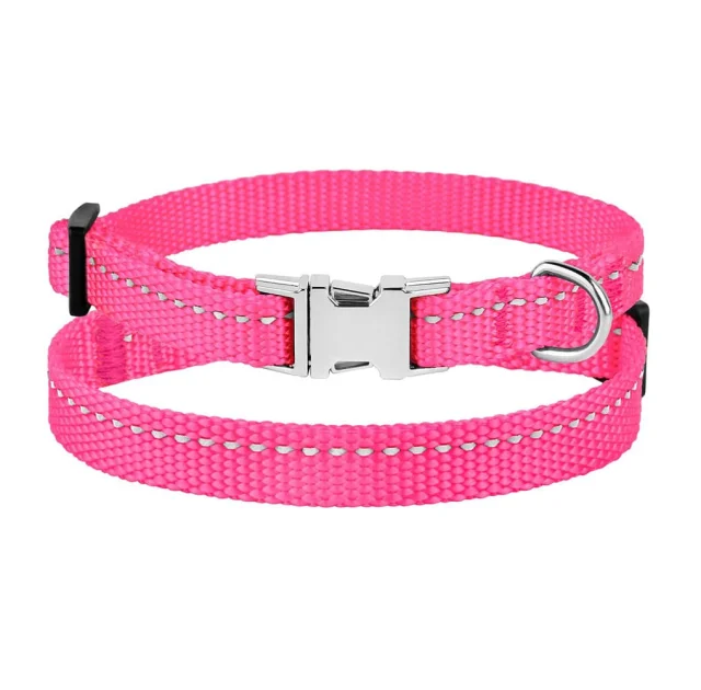 Ошейник BronzeDog Active, для собак и кошек, нейлоновый, фастекс хром, розовый, 18-28×1 см