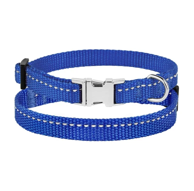 Ошейник BronzeDog Active, для собак и кошек, нейлоновый, фастекс хром, синий, 18-28×1 см