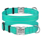 Нашийник BronzeDog Active, для собак, нейлоновий, фастекс хром, бірюзовий, 25-33×1.6 см