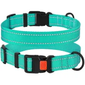 Нашийник BronzeDog Active, для собак, нейлоновий, фастекс пластик, бірюзовий, 35-53×2.5 см