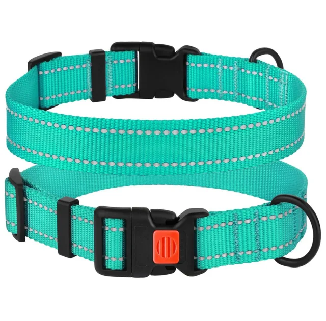 Нашийник BronzeDog Active, для собак, нейлоновий, фастекс пластик, бірюзовий, 35-53×2.5 см