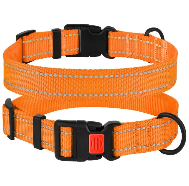 Нашийник BronzeDog Active, для собак, нейлоновий, фастекс пластик, помаранчевий, 30-40×2 см